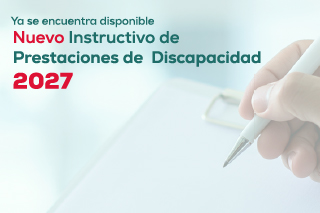 Instructivo Discapacidad 2027